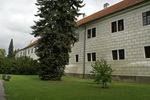 grafika